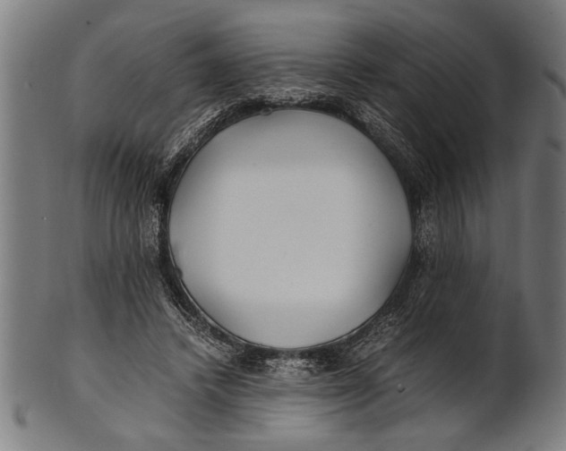 X0000100860448200807111257