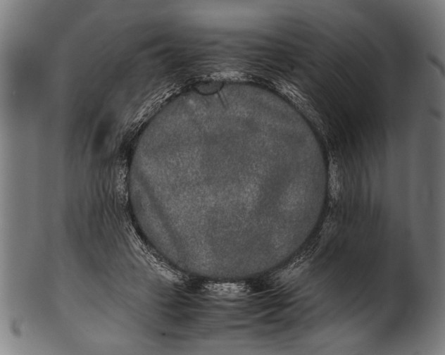 X0000100860449200807111257