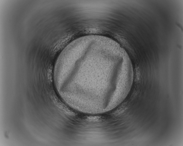 X0000100860450200807111257