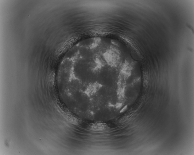 X0000100860451200807111257