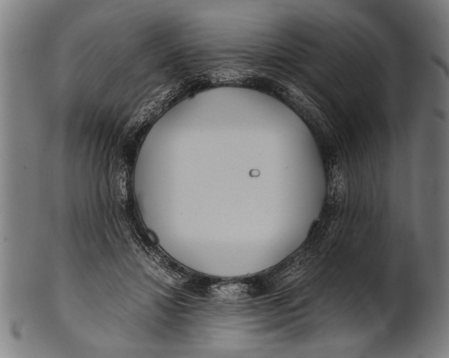 X0000100860452200807111257