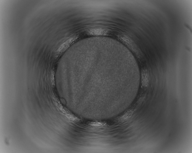 X0000100860453200807111257