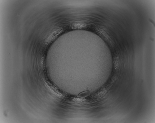 X0000100860455200807111257