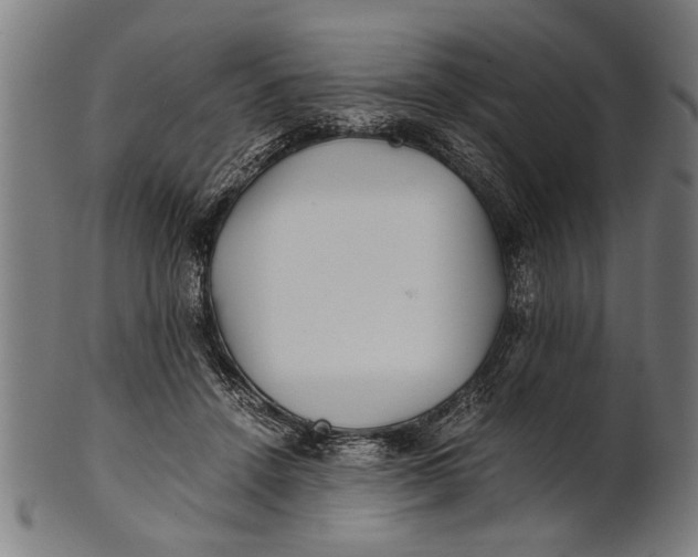 X0000100860456200807111257