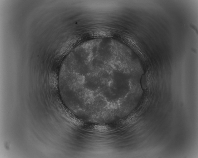 X0000100860457200807111257