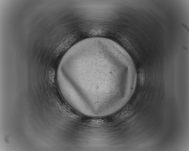 X0000100860458200807111257