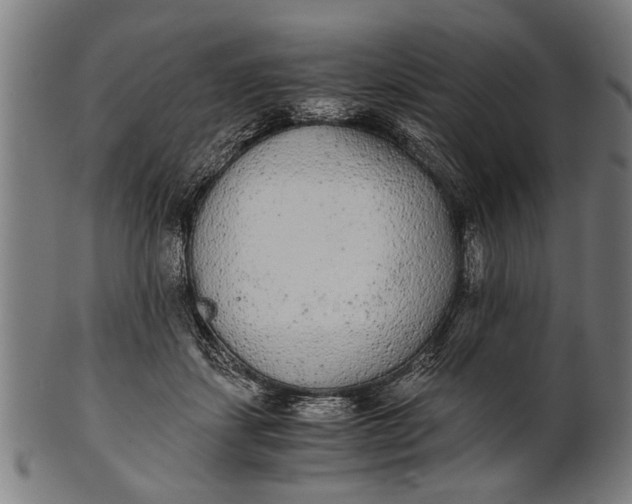 X0000100860459200807111257