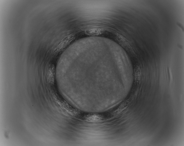 X0000100860460200807111257