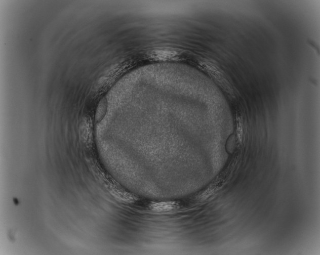 X0000100860461200807111257