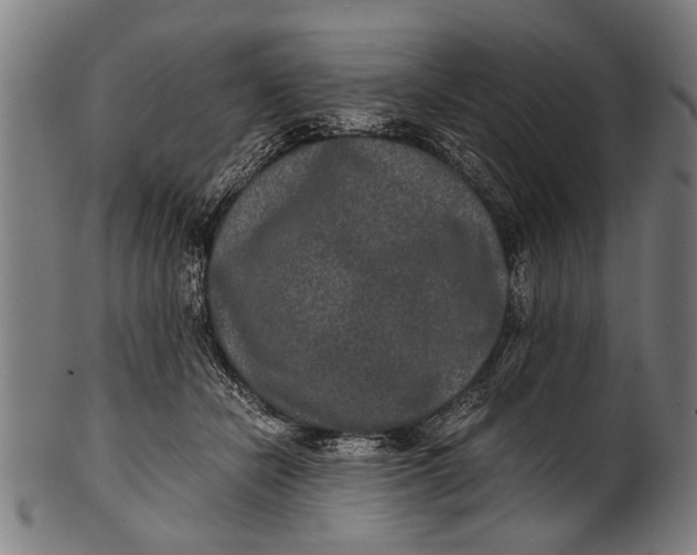 X0000100860462200807111257