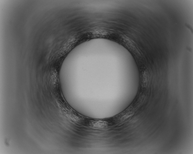 X0000100860463200807111257