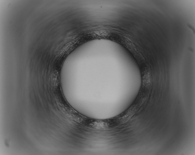 X0000100860464200807111257