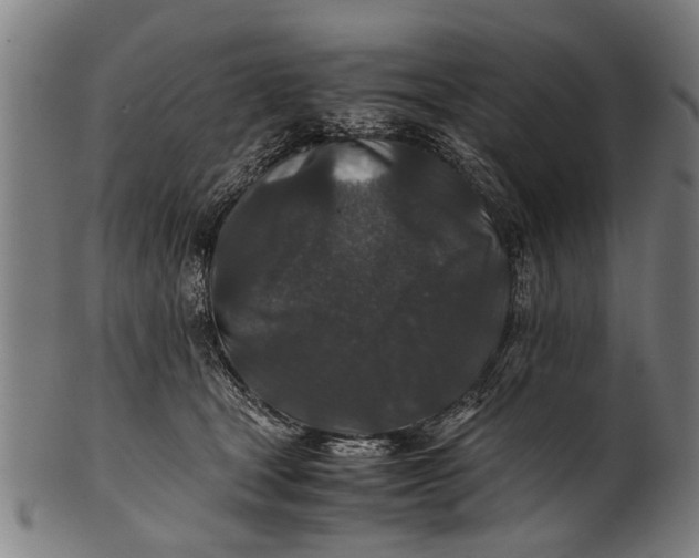 X0000100860465200807111257