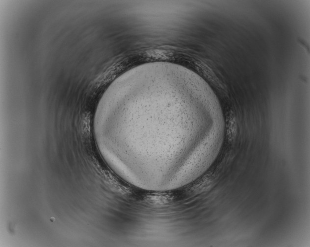 X0000100860466200807111257