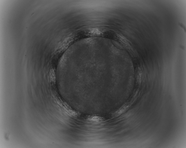 X0000100860467200807111257