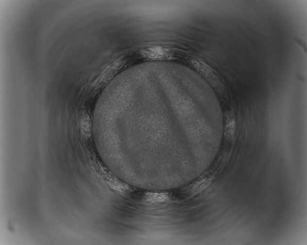 X0000100860469200807111257