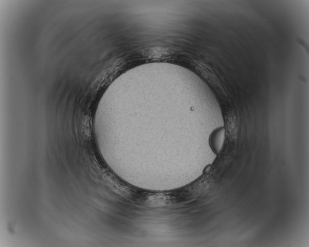 X0000100860470200807111257