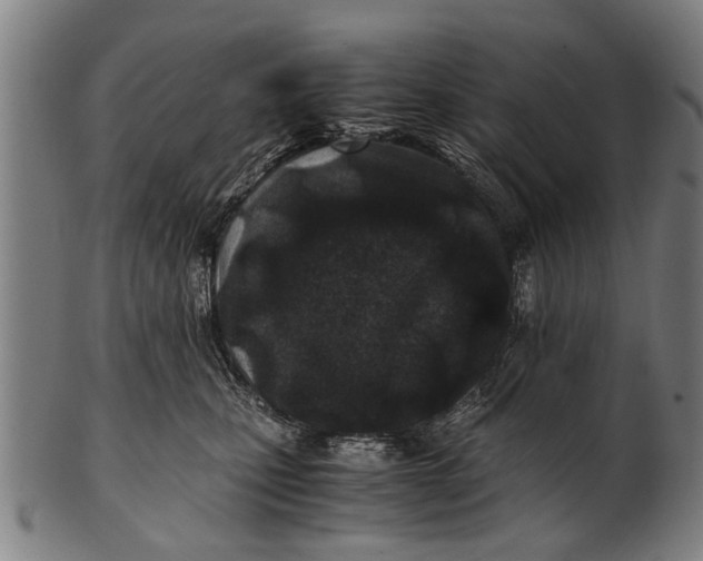 X0000100860471200807111257