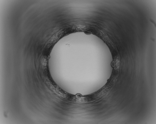 X0000100860472200807111257