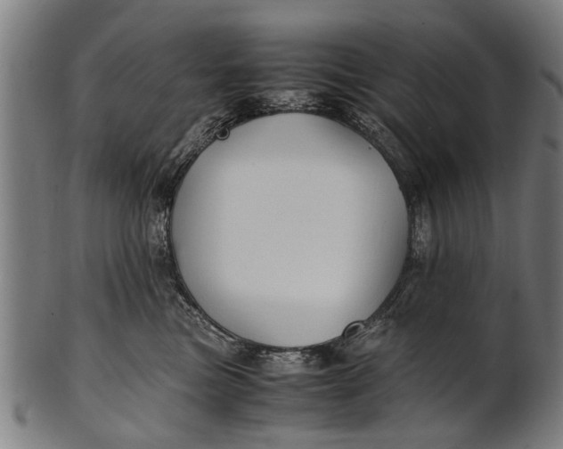 X0000100860473200807111257