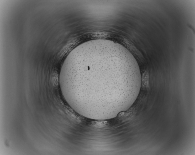 X0000100860474200807111257