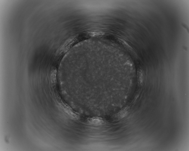 X0000100860475200807111257