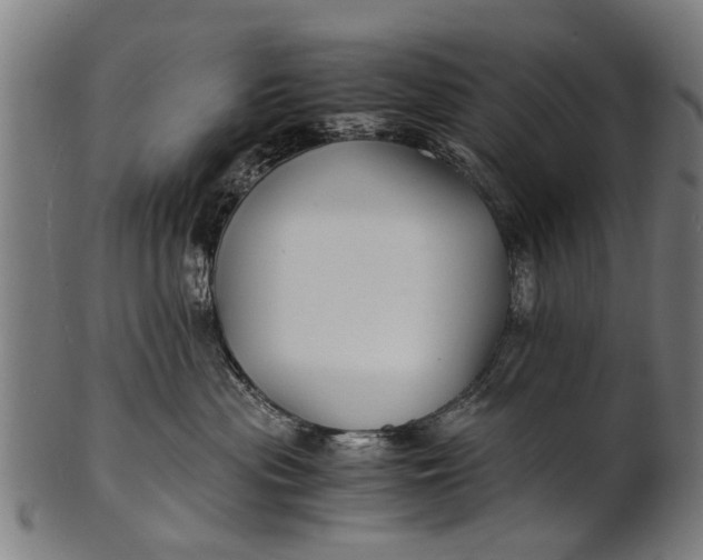 X0000100860477200807111257