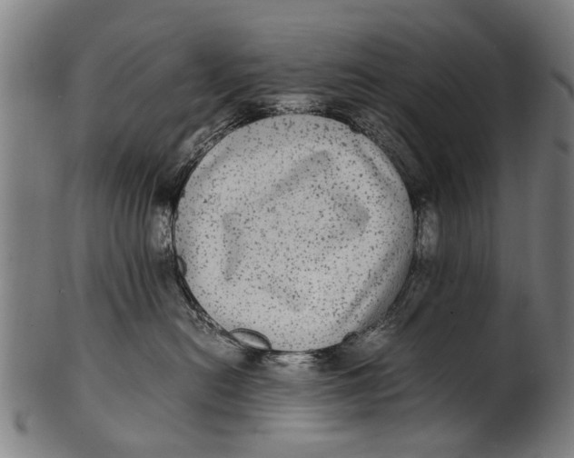 X0000100860478200807111257