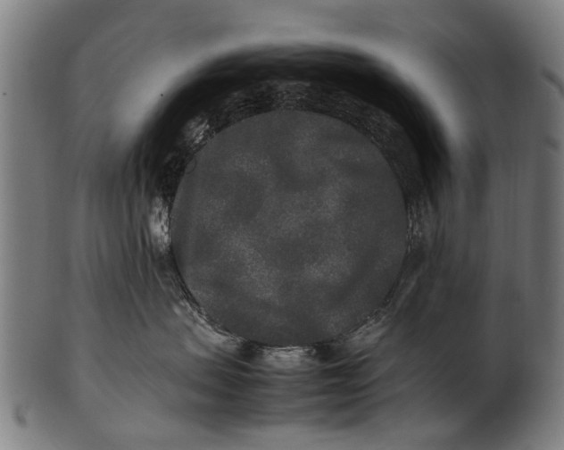 X0000100860479200807111257