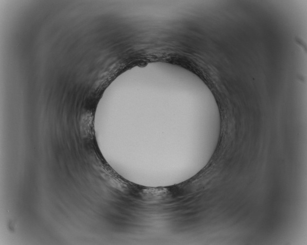 X0000100860480200807111257