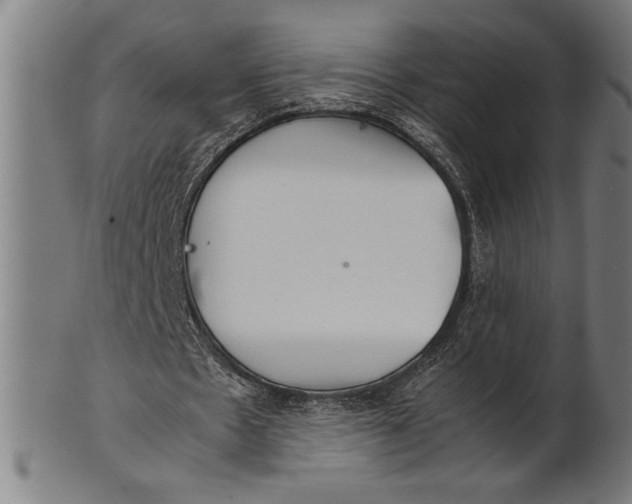 X0000100860481200807111257