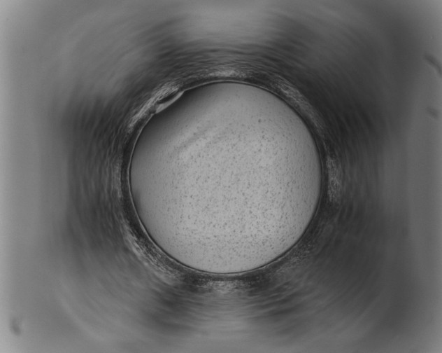 X0000100860482200807111257