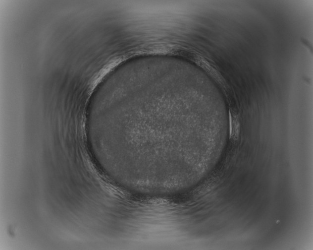 X0000100860483200807111257