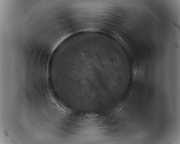 X0000100860484200807111257