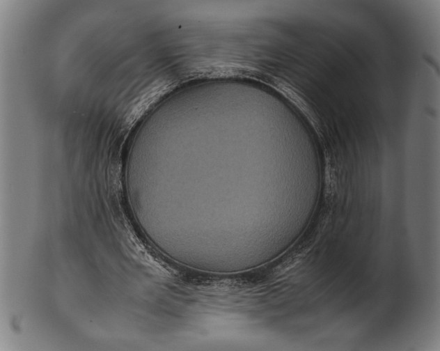 X0000100860485200807111257