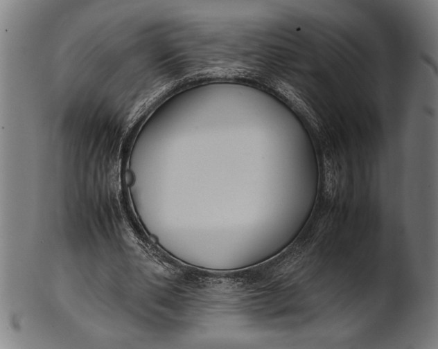 X0000100860486200807111257