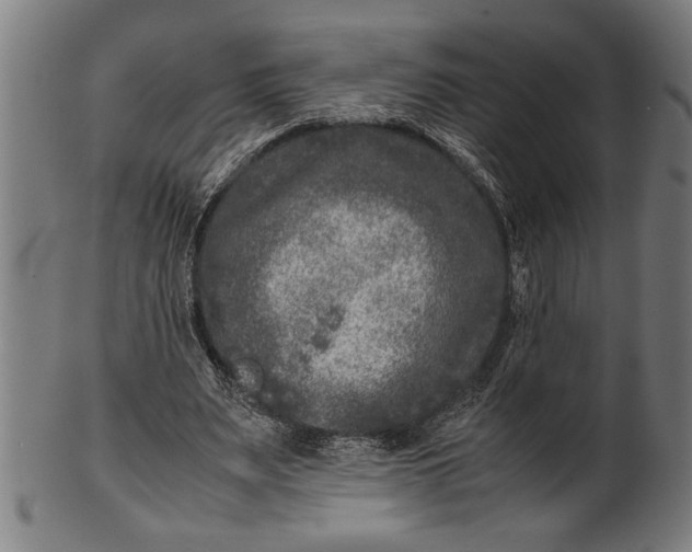 X0000100860487200807111257