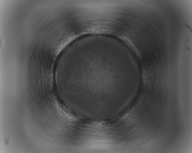 X0000100860488200807111257