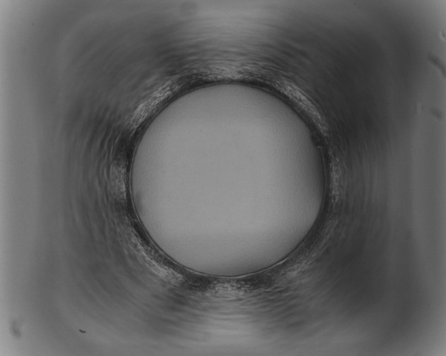 X0000100860489200807111257