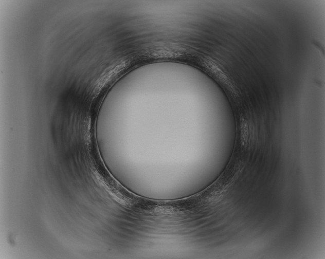 X0000100860490200807111257