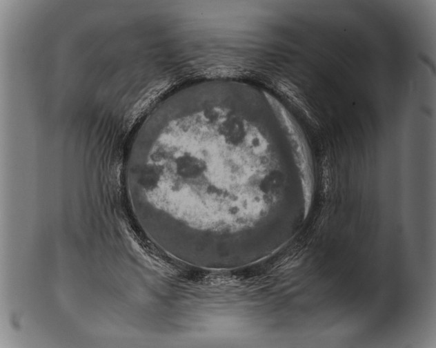 X0000100860491200807111257