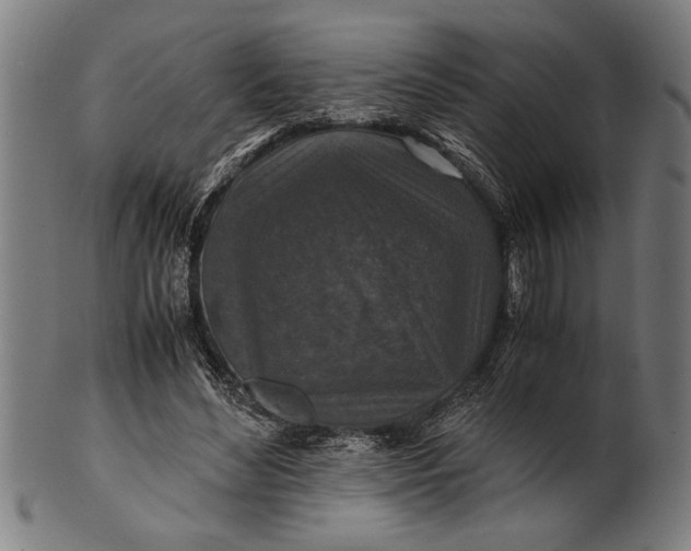 X0000100860492200807111257