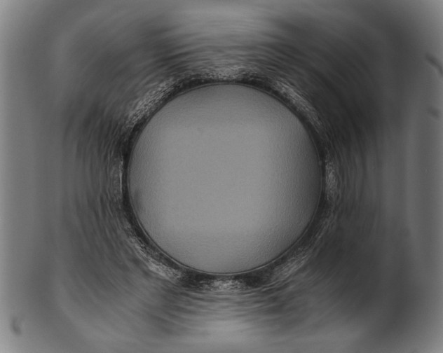 X0000100860493200807111257