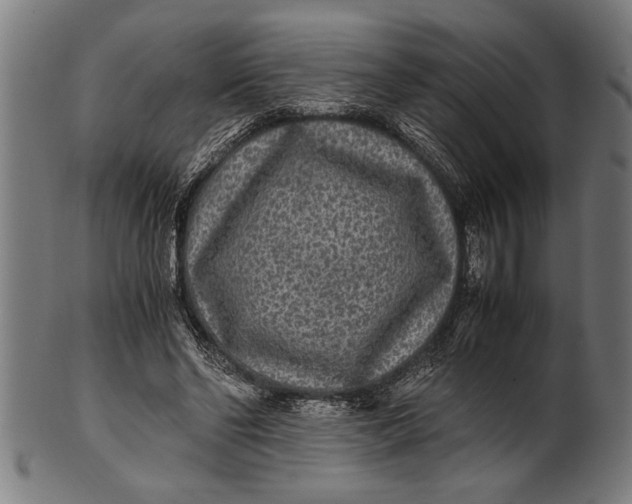 X0000100860494200807111257