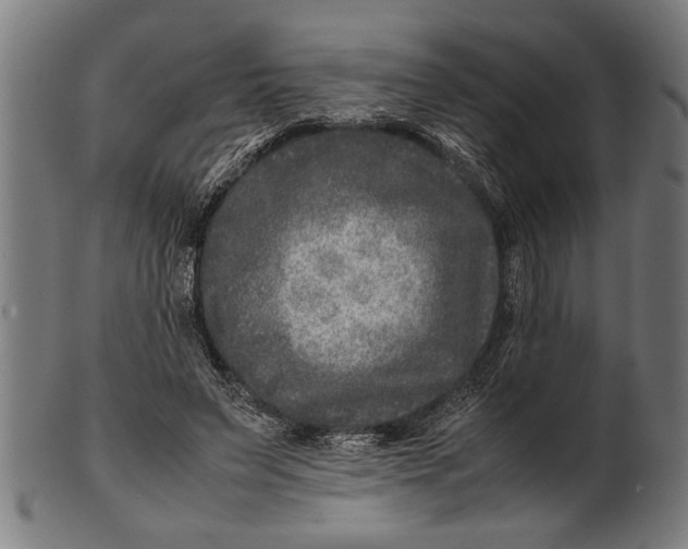 X0000100860495200807111257