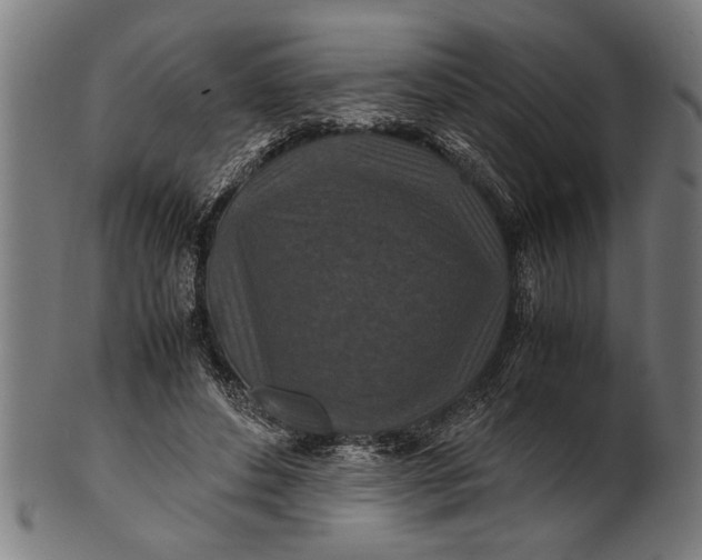 X0000100860496200807111257