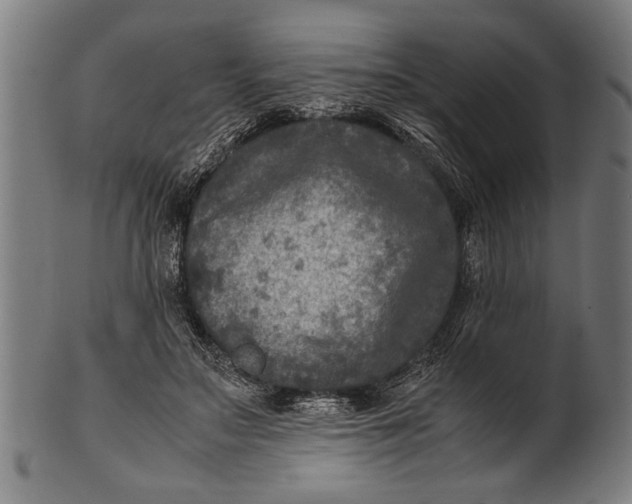 X0000100860499200807111257