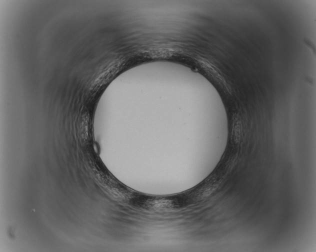 X0000100860501200807111256