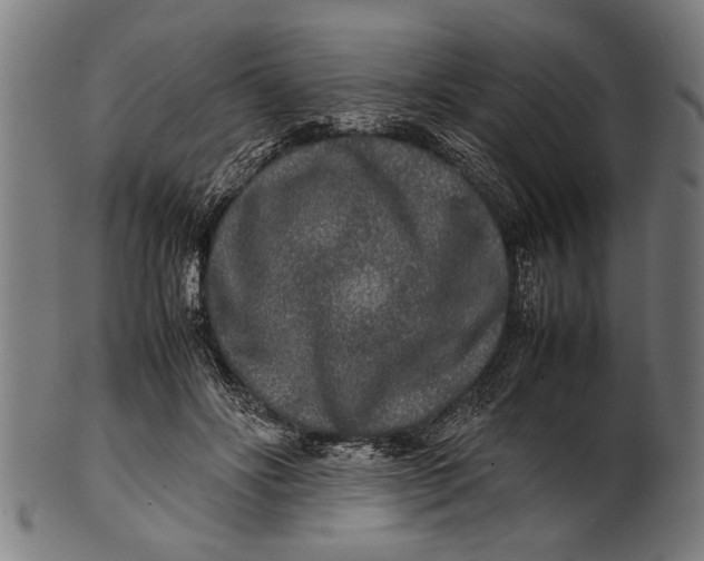 X0000100860502200807111256