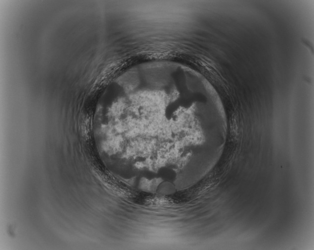 X0000100860503200807111256